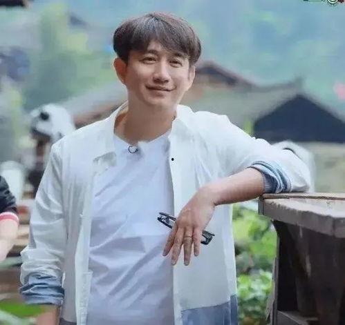 黄磊娱乐圈爆料,揭秘明星幕后故事与真实情感